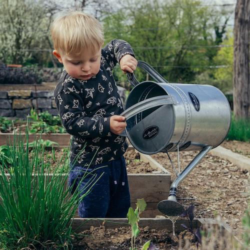 a little boy watering his garden